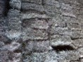 /album/fenos/p13-08-11-16-07-jpg/